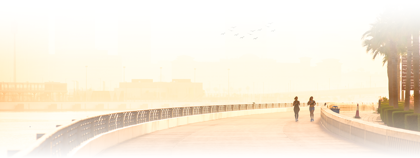 Drive More, Pay Less - Cheap Car Rental Dubai Specialists